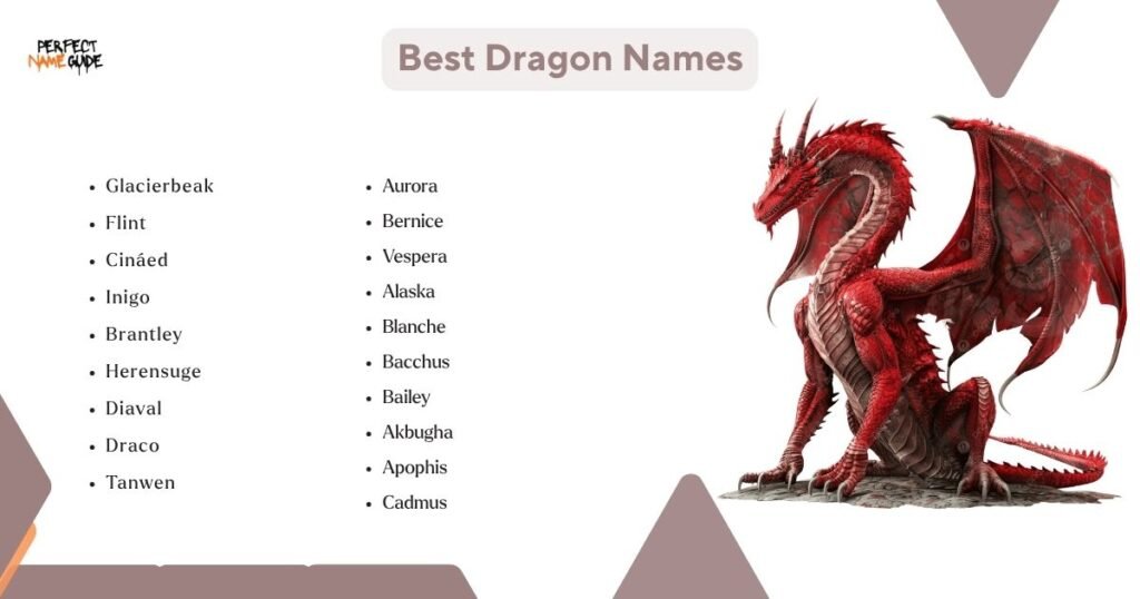 Best Dragon Names