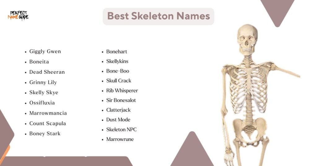 Best Skeleton Names