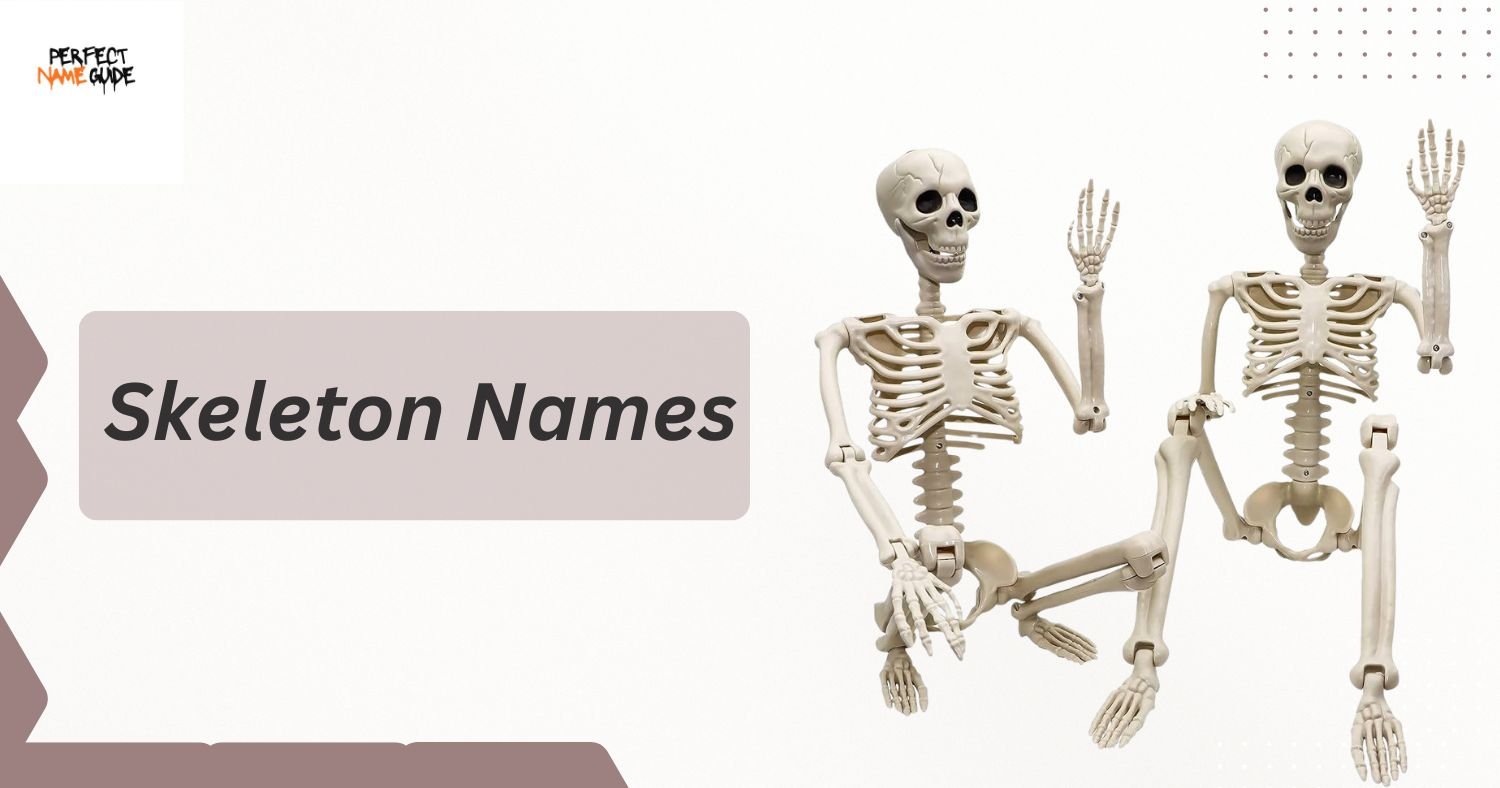Skeleton Names