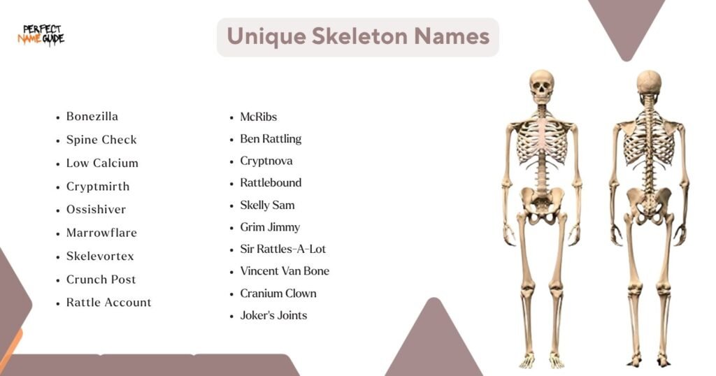 Unique Skeleton Names