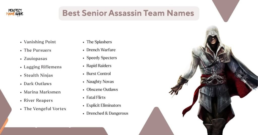 Best Senior Assassin Team Names