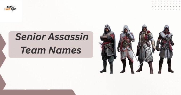 Senior Assassin Team Names