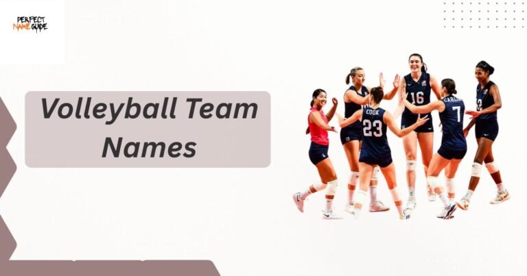 Volleyball Team Names