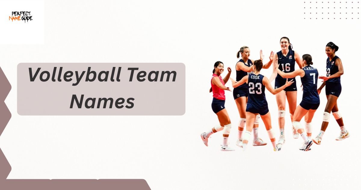 Volleyball Team Names